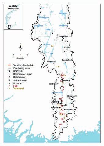 Tabell 1. Kalkforbruk (tonn CaCO 3 ) og silikatforbruk (tonn Na-silikat) i Mandalsvassdraget for perioden 2008-2017. Antall kalkede innsjøer i parentes. Data fra Fylkesmannen i Aust- og Vest-Agder.