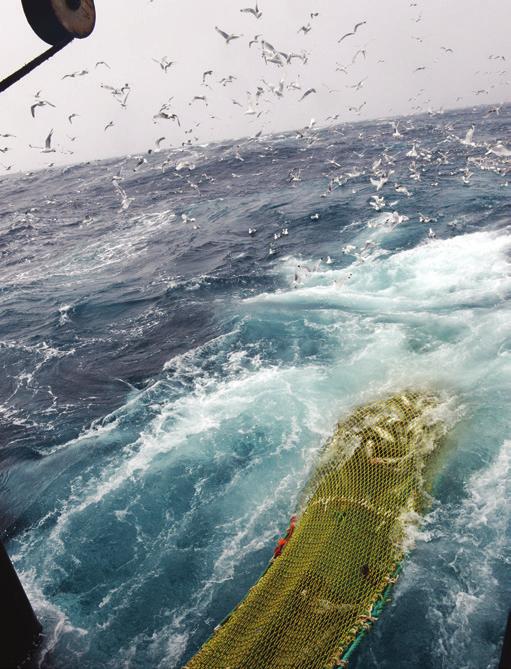 13 Plast i Arktis Forskningsmiljøene i Framsenterets institusjoner har samlet seg om et nytt og viktig forskningsområde: Plast i Arktis.