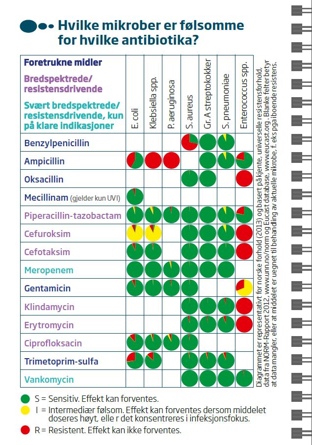 Indikasjon for antibiotikabehandling