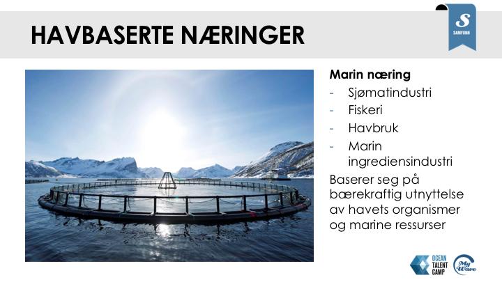 Sjømat: Norge har alltid vært en fiskerinasjon Norge er store på oppdrett og marine ingredienser Sikrer Norge og verden