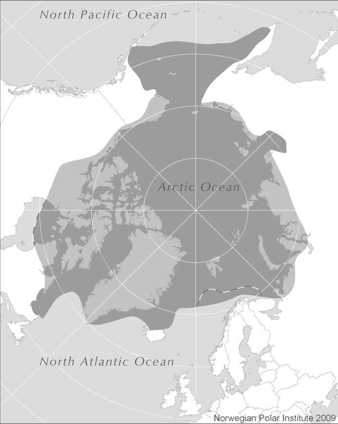 Vedlegg kart over Arktis med avgrensninger definert som polart område Det skyggelagte området angir avgrensning av Arktis slik det er definert i undersøkelsen.