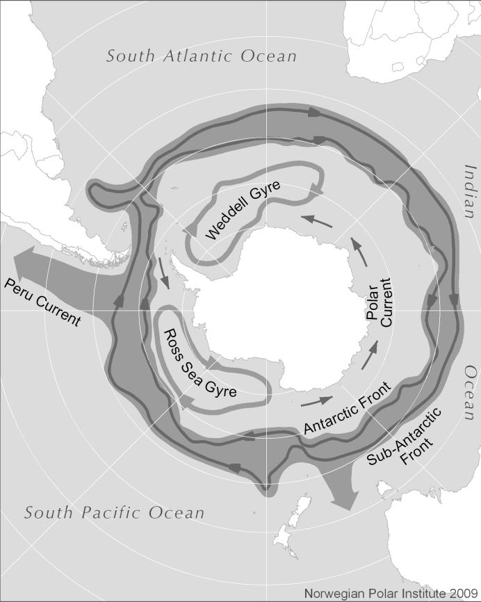 Vedlegg kart over Antarktis avgrensninger definert som polart område Det skyggelagte området angir avgrensning av Antarktis slik det er definert i undersøkelsen.
