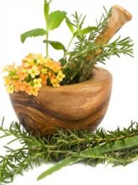10 gode urter Ti urter og planter med gode egenskaper og helsevirkninger.