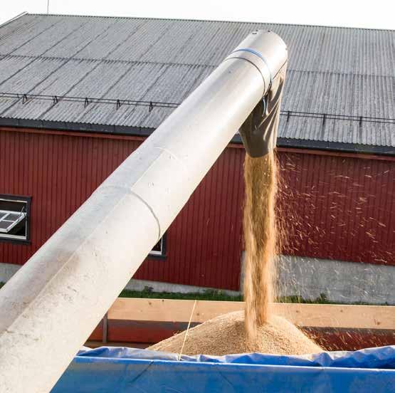 KiO krever økt prisnedskriving av matkorn, Les hele kravdokumentet på http://kio.no tilpasset årets kornprisøkning og tollvernet for norsk matmel- og bakeindustri.