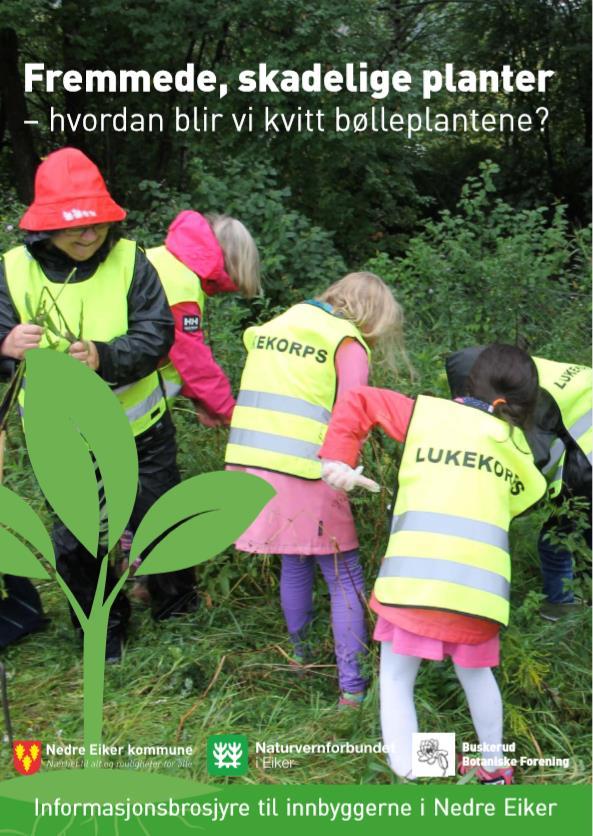 materiell Tekst og innhold med utvalgte planter Lokale gjenvinningsstasjoner Utsending eller utdeling i