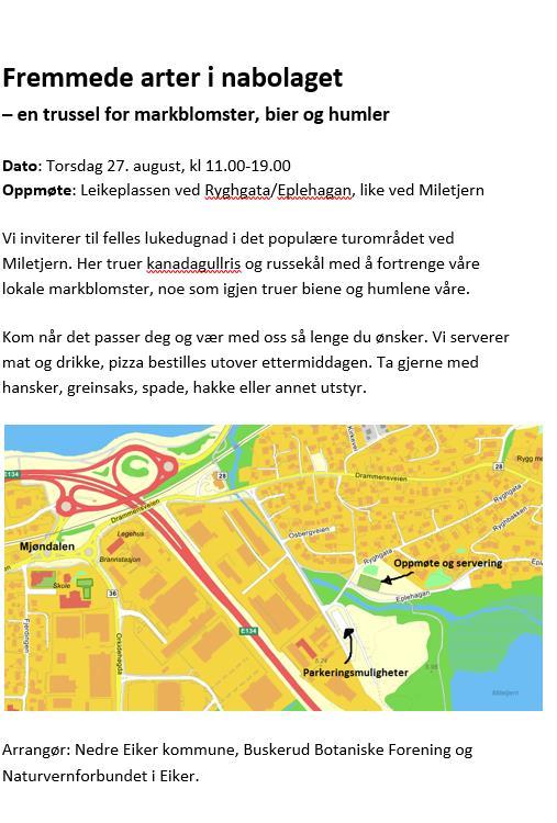 Lukedugnad i boligområder Info/flyere