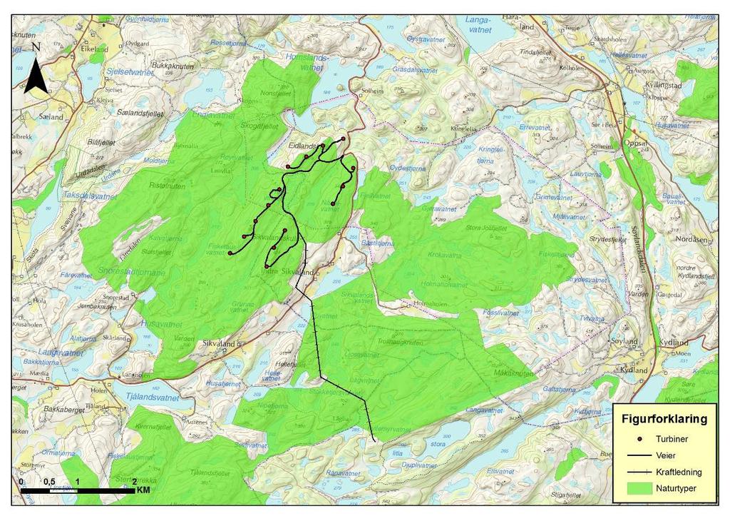 44 Figur 4.21. Viktige områder for kystlynghei i og ved planområdet (grønt).