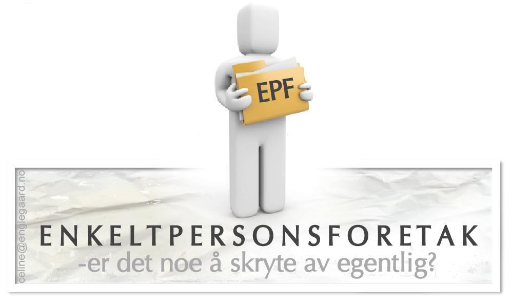Vieno žmogaus (individuali) įmonė Dirba savo atsakomybe ir rizika. Turi registruotis įmonių registre Foretaksregisteret i Brønnøysund.