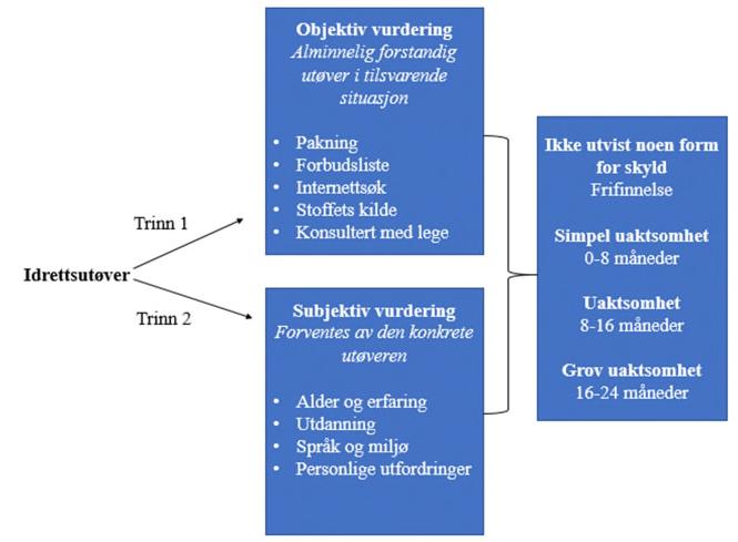 Spørsmålet ved den subjektive vurderingen er; hva kan forventes av den konkrete utøveren på bakgrunn av hans personlige kapasitet.