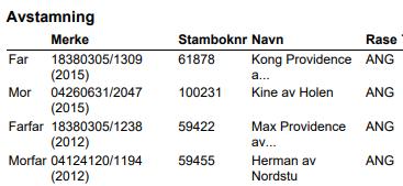 Nummer 5 (Katalognummer 18) Aberdeen Angus 04260631/1713 Mona av Holen Født: 17/02/2017 Forventet kalving: 13/02/2019 74029 Horgen Erie Stamboknummer: 102337 Kollet Jørn-Terje Dragly Minstepris: 25