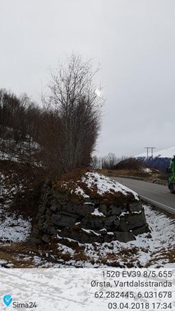 Biletet til venstre syner vegetasjon på toppen av skredvoll, og biletet til høgre syner