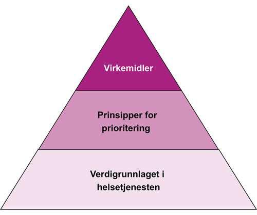 Prioritering Verdigrunnlag Prinsipper Nytte Ressursbruk Alvorlighet Virkemidler