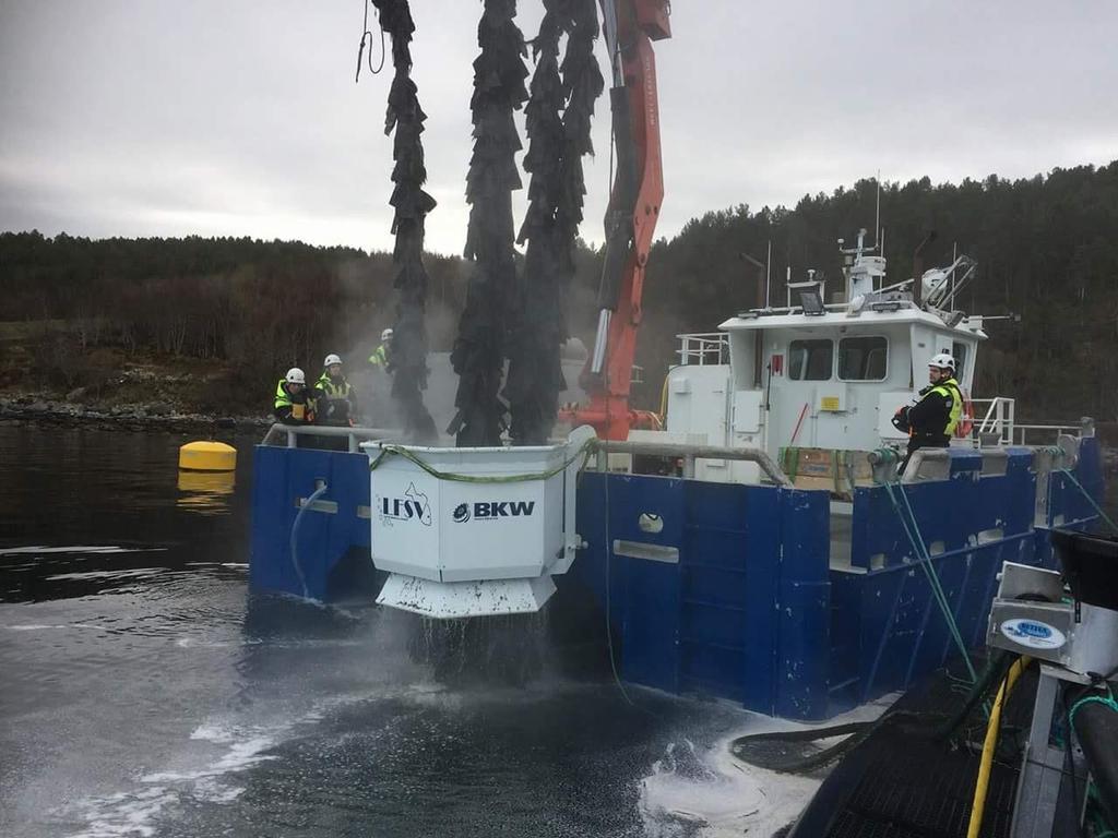 Dette har bedret overlevelse og effekt BKW-skjulspyler på