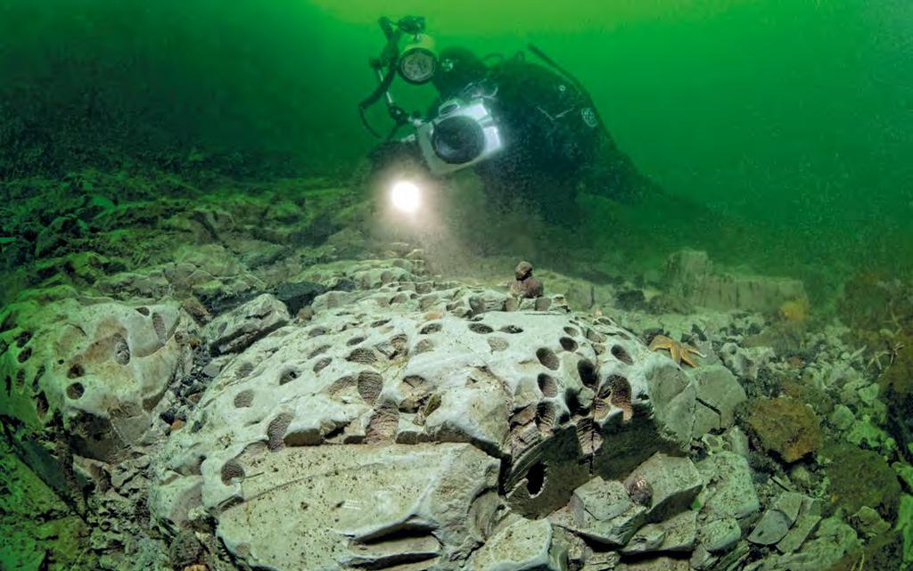 Spektakulære steinformasjoner under vann ved Søbadet i Lillebælt. Lillebælt byr på en fargerik undervannsverden med massevis av sjøstjerner, anemoner, dødmannshånd og svamp.