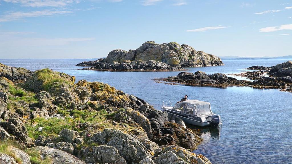 Urter Terneholmen på Urter nærmest i bildet. Her ytterst i skjærgården lyktes rødnebbternene best i 2017. Skardholmen i nord huser de siste parene av havhest i naturreservatet. 26.