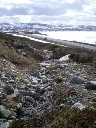 ID. 144610 FURE Furen ligger mellom 1070-1090 m.o.h. og strekker seg i en bue ovenfor veien som ligger øst for Sønstevatn. Furen begynner ca.