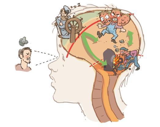 Kognitiv funksjon Kognitiv funksjon/intelligens: evnen til å tenke, huske, lære, gjenkalle noe du har lært, oppfatte, vurdere, handle