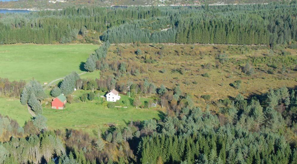 VERDI 8 SOLTVEIT VALERSNES n stor Det store myrområdet øst på Radøy er registrert som friluftsområde. Området er lokalt viktig som turområde og til bærplukking.