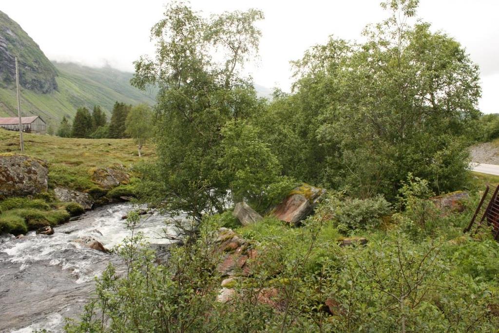 Nederst der den nye vegen er tenkt finnes en elv. Elven har en forbygning av naturstein. Langs elven vokser det bjørk, gråor og vier i tresjiktet.