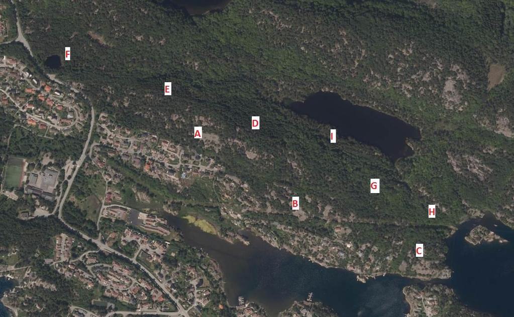 Kart 6 Flybildet over området viser at toppen av Øygardsheia (A, B, C) består av en skrinn furuskog med mye nakent berg,