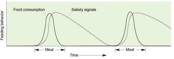 Korttids metthet signal 1.