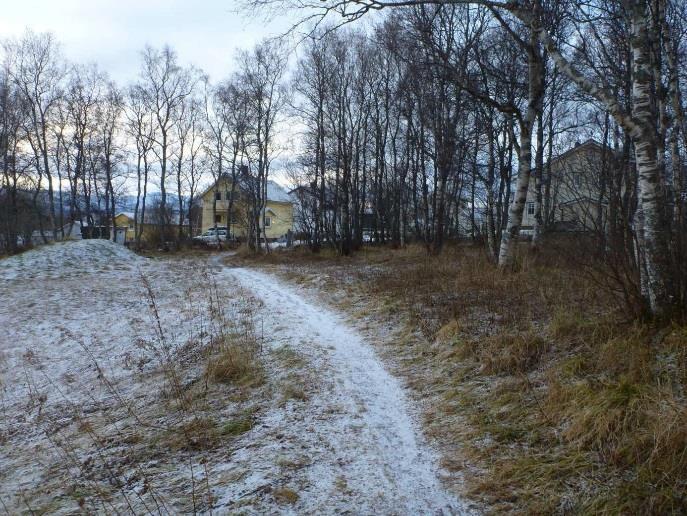 Det legges opp til at eksisterende trær og busker innenfor lekeområdet beholdes. Sørvest for rv.80 ligger museum med større og sammenhengende friområder og er i dag mye brukt til friluftsliv/turgåing.