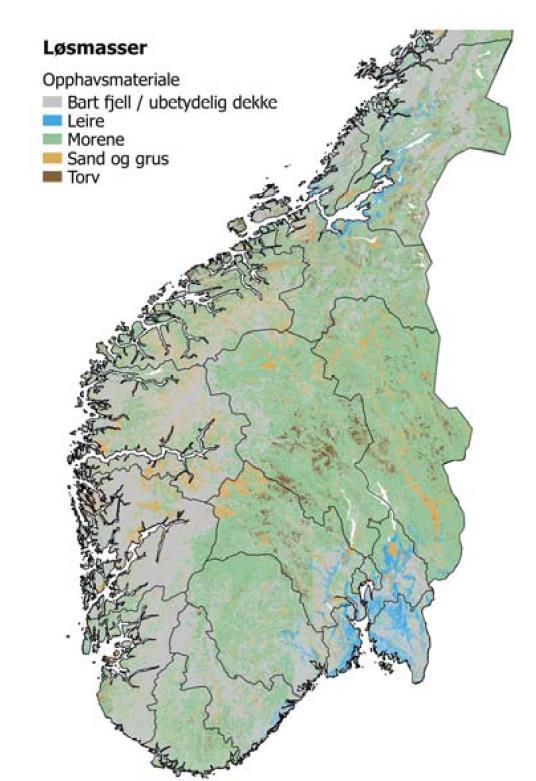 TRÆRNES FORANKRING AVHENGER AV JORDDYBDE OG JORDTYPE