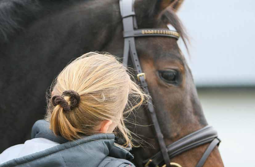 NYTT & NYTTIG FOTO: REBECCA BALLESTAD-MENDER Vi skjønner hesteknegget Mennesket klarer å skille mellom positive og negative vrinsk, også de med lite kjennskap til hest har kanadiske forskere funnet