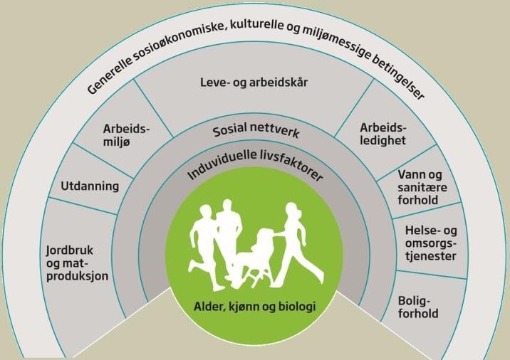 Fokus Trøndelag: Folkehelse Folkehelse defineres som befolkningens helsetilstand og hvordan helsen fordeler seg i en befolkning.