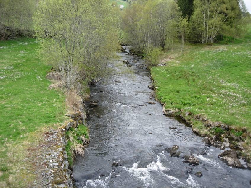 OMTALE AV ENKELTELVANE 1. ELV FRÅ NYTTINGSNESVATNET I FLORA Det vart samla inn fisk i elva frå Nyttingsnesvatnet (UTM 32V 0297942-6834510) 3. mai 2007.