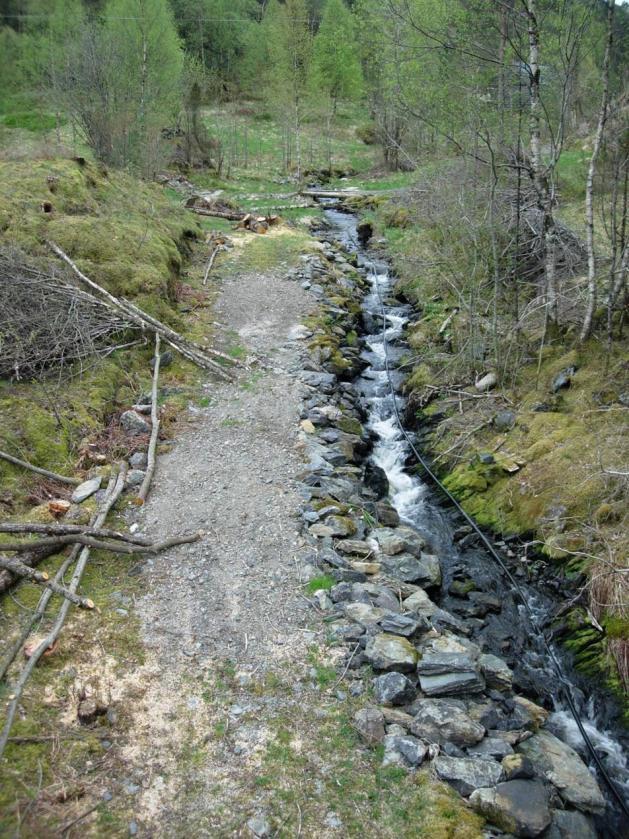 17. BEKK TIL YTRE STAVØYVÅGEN PÅ STAVØYA, FLORA Bekken som renn ut i Ytre Stavøyvågen på Stavøya (UTM 32V 0293111-6830780) er 2-3 m brei og har substrat av sand og leire.