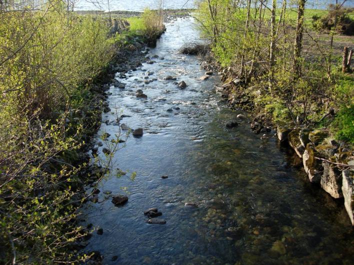 19. STORE HØYDALSELVA, FLORA Høydalselva (UTM 32V0304845-6829181) er omlag 10 m brei og har substrat av stein, grus og sand. Vi samla inn ungfisk av aure frå elva 3. mai 2007.