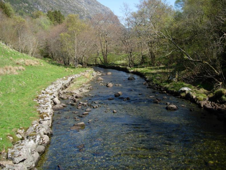 Utløpet 25. UTLØPSELVA OG INNLØPSELVA TIL STANDALSVATNET, FLORA Elva (UTM 32V 0299414-6825780) var 6-8 m brei, relativt slak, hadde substrat av sand, grus og stein og var lite grodd.