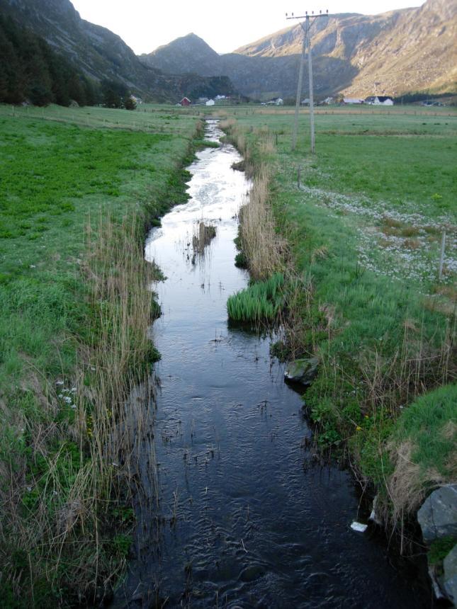 29. HAMREELVA I SELJE Elva (UTM 32V 0309472-6883910) var 2-3 m brei og hadde eit botnsubstrat av grus og sand. Elva ser rein ut, og får truleg ikkje tilførsler av for store mengder næringsstoff.