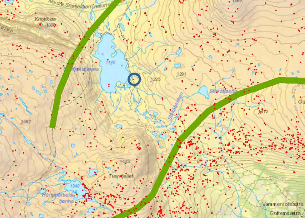 Åmotsdalen, Figur 2. Flere GPS-merka dyr har gått vestover nord for Nordre Snøfjelltjønn og snudd ved Håmmårdalen (Jordhøy 2010).