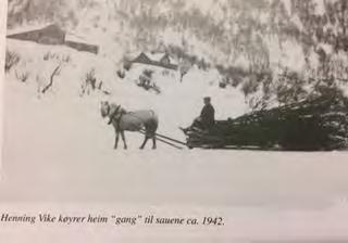 (Foto s 20 i Gards- og ættesoge for Nesset, band VII. Køyring av gnag på Vike). I pkt 5.2.1.