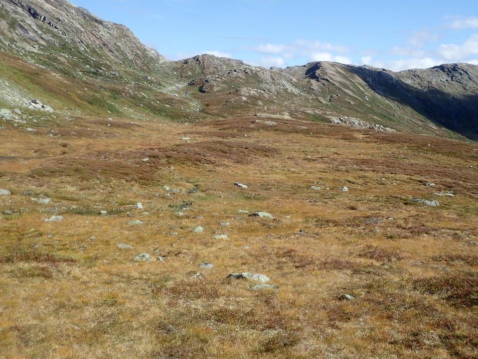Fagerlidalen mot Snotdalen på sørsida av Snota.