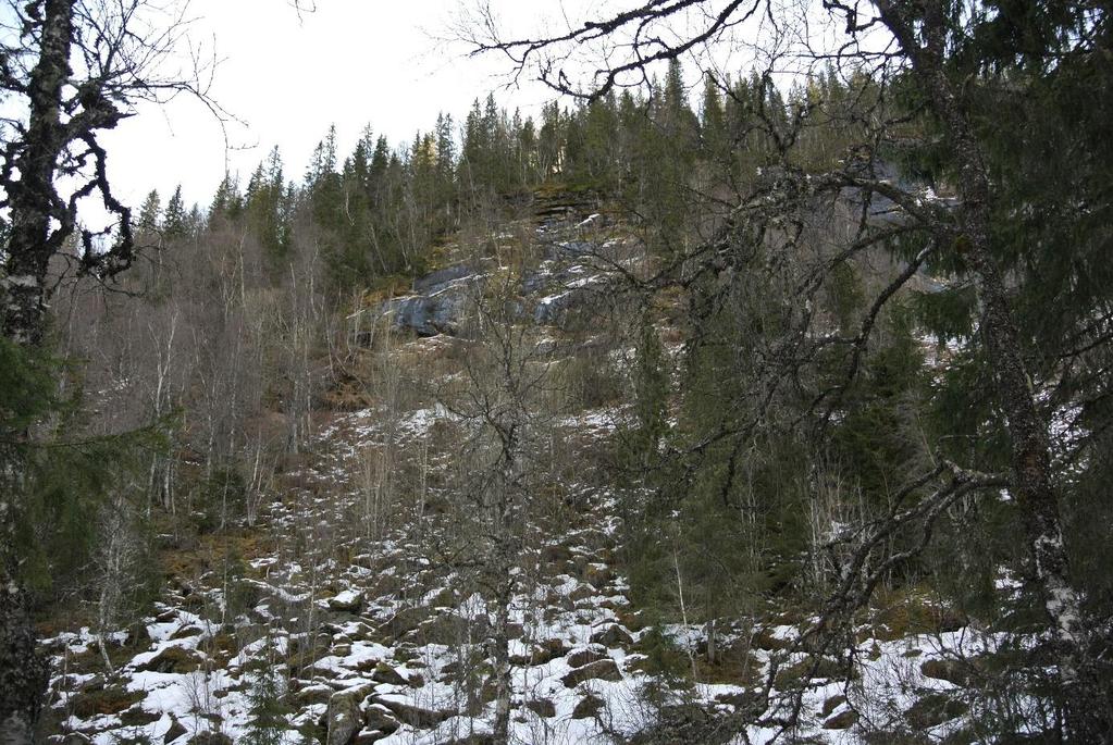 Ingeniørgeologiske vurderinger (tolkningsdel) Skredfare for påhugg og endret veglinje Det er tidligere utført skredfarevurdering for gjeldende regulert linje (Statens vegvesen, 2010b).