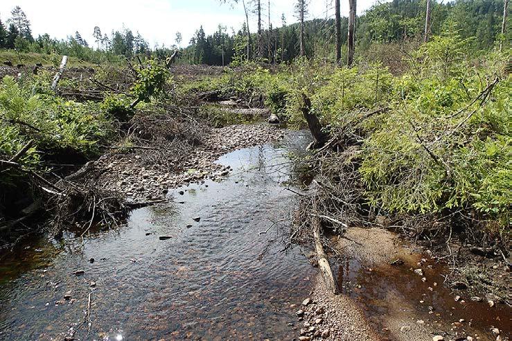 Segment 8: Grunnområder og små kulper (VP 281-282) Segmentet starter der bekken krysser under FV 254 Rugslandsveien. Også denne veikulverten har delvis naturlig bunn, og er ikke vandringshindrende.