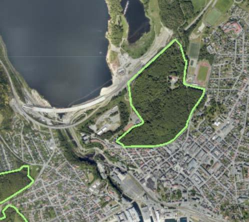 En stasjon på Bergeløkka kan skade Bøkeskogen En kulvert under området vil kunne føre til