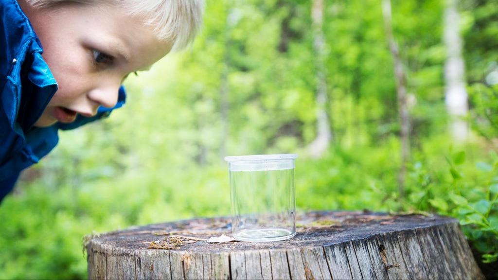 LÆRINGSSYN Vi tar utgangspunkt i tre prinsipper når vi jobber med kompetanseutvikling: At mennesket har mange og varierte kompetanser og dermed at vi har mange og varierte læringsstiler.