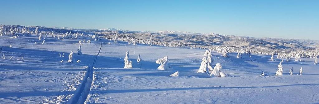 Troms og Finnmark 2018 15.