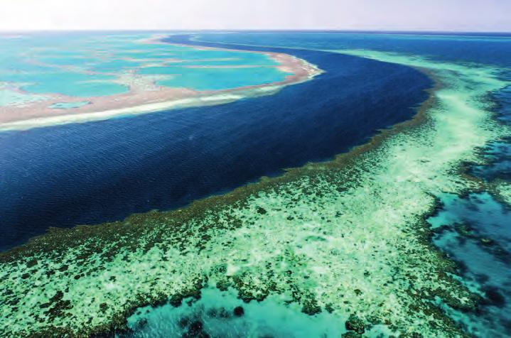 Queensland har 450 nasjonalparker og et mangfold av marineparker, og det er derfor ikke rart at staten står høyt på ønskelisten for de som ønsker ferie med fokus på naturen.