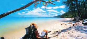 Fraser Island O Reilly s Rainforest Retreat Fraser Island ligger nordøst for Sunshine Coast og er verdens største sandøy.