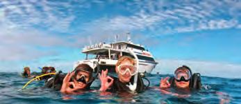 Selskapet har tre båter som er spesialtilpasset for å bringe snorklere og dykkere ut til noen av de mest fantastiske områdene av Great Barrier Reef.