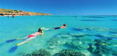 Ta en lang lunsj ved elven eller på stranden, og nyt det brede kulinariske tilbudet som Perth byr på. Ningaloo Reef Ningaloo Reef er et fantastisk korallrev som ligger 1200 km nord for Perth.