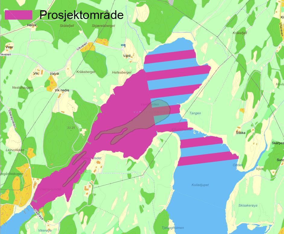 ålegrassenger i Indre Viksfjord, Larvik kommune. Ålegressforekomsten har ID BN00057486og er verdisatt til A (nasjonalt viktig) i Naturbasen. Ålegressengene er truet av gjengroing av grønnalger.