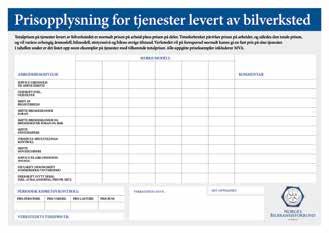 Ingen ser ut til å ha lykkes med sine forretningsmodeller. Ut fra prosjektarbeidet har vi har besluttet tre prioriterte områder som vi skal jobbe videre med i 2017.