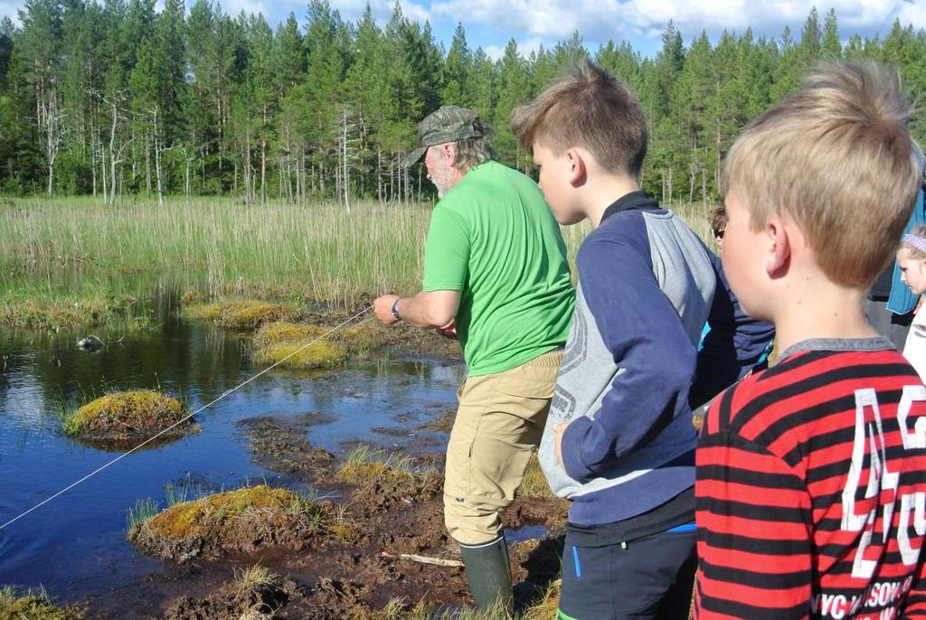 Naturglede 2017 Naturguiding til folket Vi gjennomførte i alt 13 turer (6 i Nord-Trøndelag og 7 i Sør- Trøndelag). Tilsammen deltok ca. 550 personer.