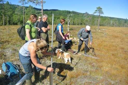 Vi inviterte med på turer til en truet myr i Klæbu og på skogtur i Bymarka i Trondheim 2.